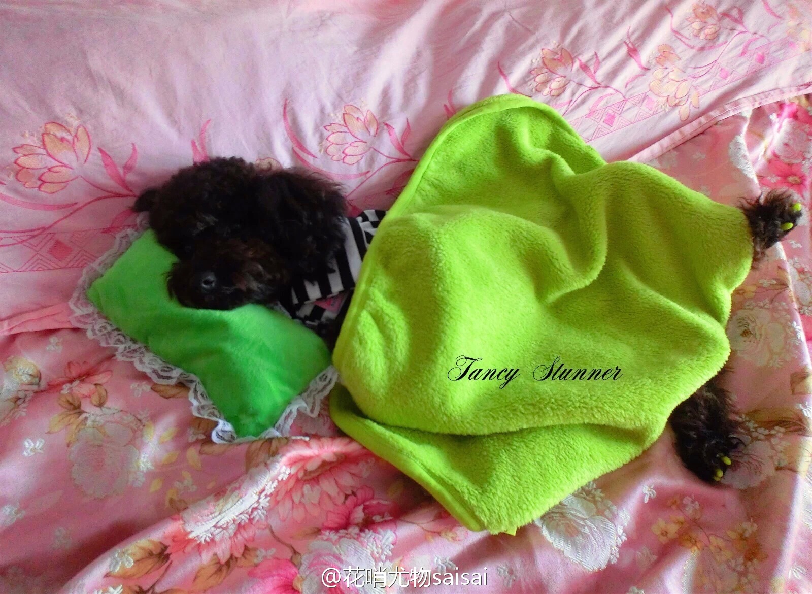 花哨尤物saisai的微博列表微女郎